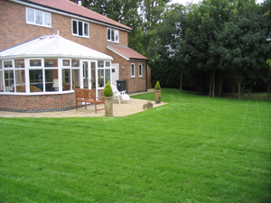Domestic Lawns