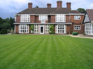 Domestic Lawns