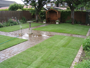 Domestic Lawns